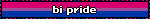 transbro.neocities.org A blinkie reading `bi pride` with the pride flag in the background.