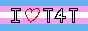 A button with a trans flag in the background and text reading 'I heart T4T'