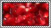 A static stamp of pomegranate